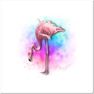 Flamingo Style Posters and Art